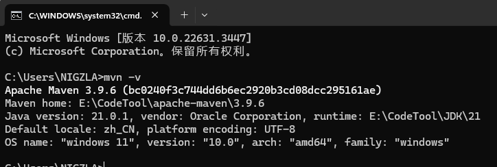 image-20240603202925506